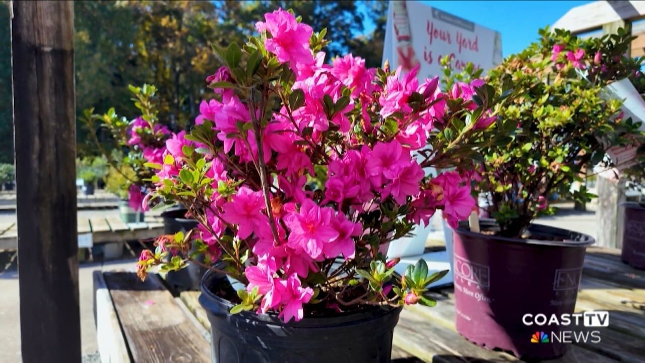 First frost: Protect your plants and help those in need